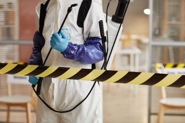 Professional Sewage Cleanup technician working in Parthenon, AR